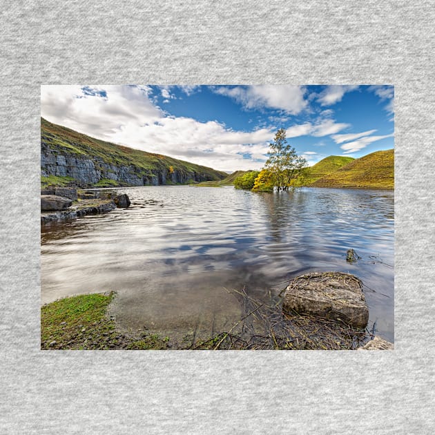 Old Quarry Bollihope - Durham by Reg-K-Atkinson